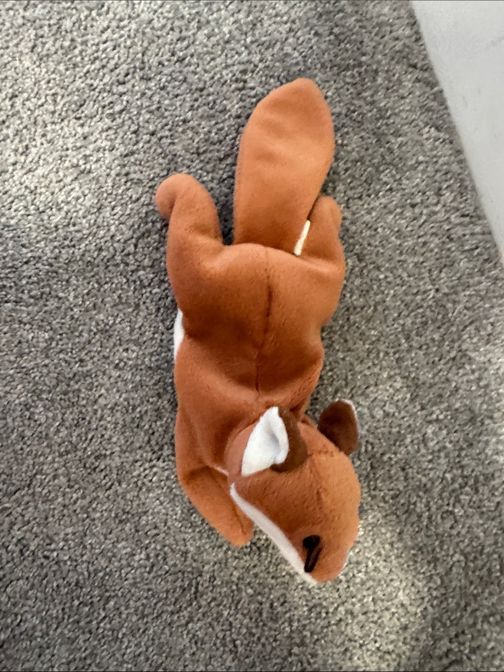 Ty Brown and White Plush Squirrel Small Pet Toy